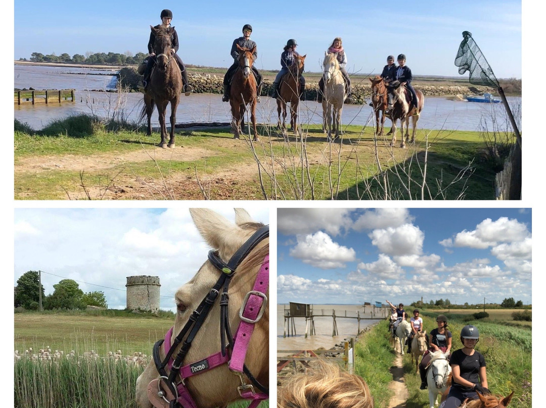 Centre de Tourisme Equestre de St Vivien景点图片
