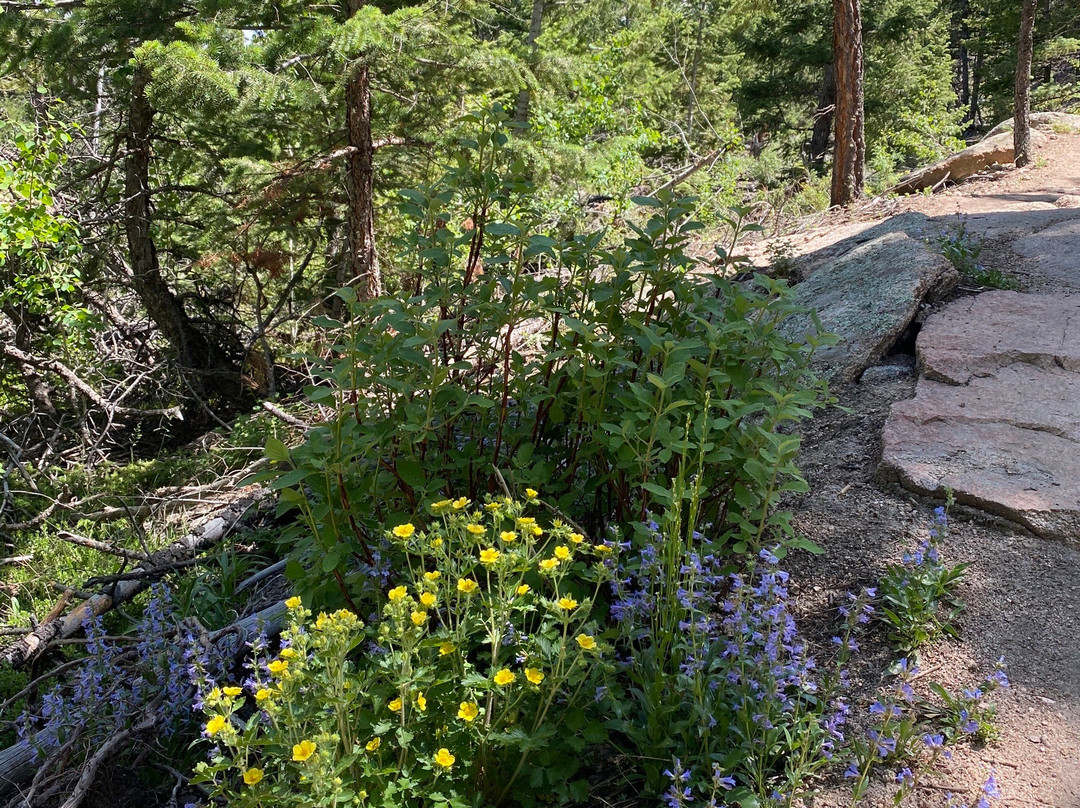 Hermit Park Open Space-埃斯蒂斯公园必去景点