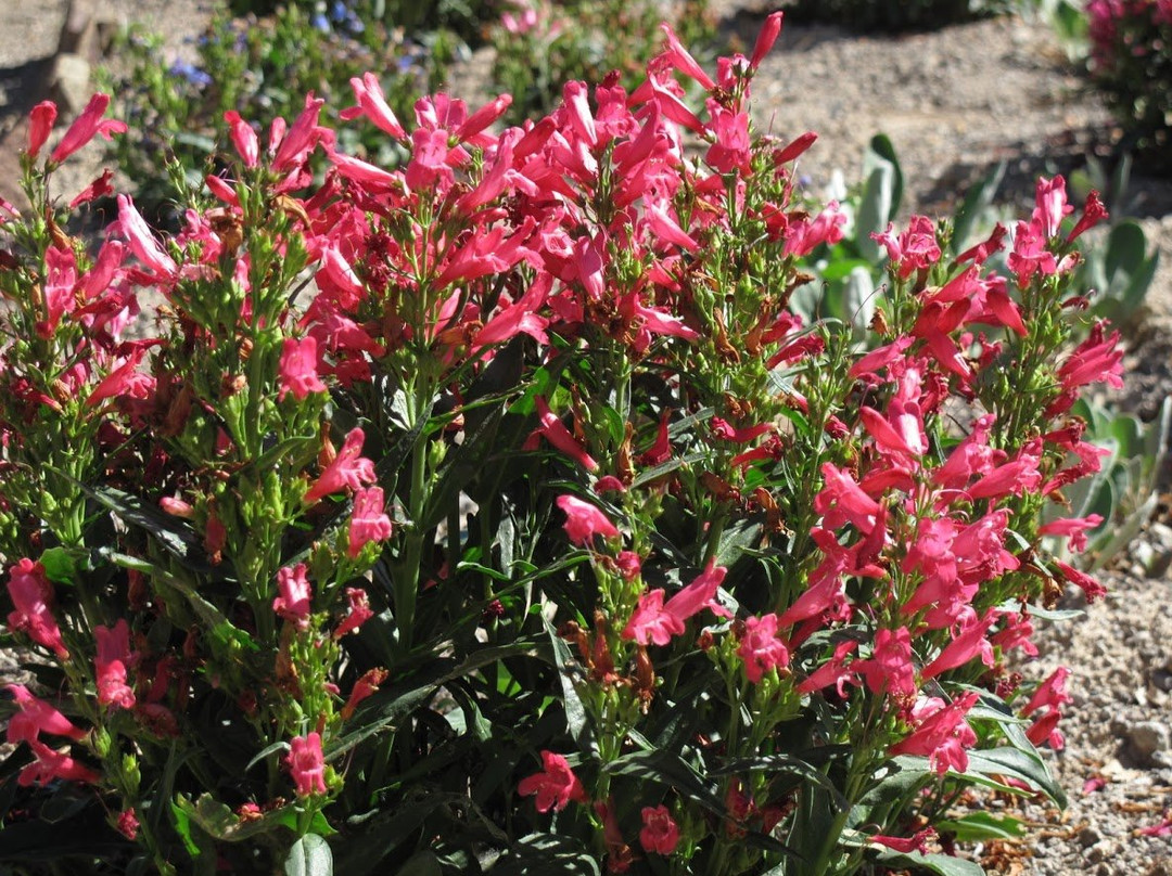 Orton Botanical Garden-特温福尔斯必去景点