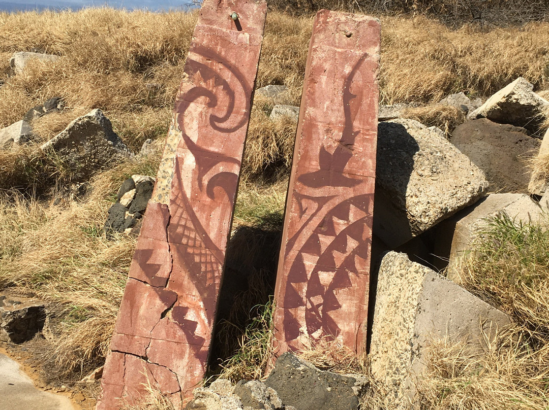 South Point Complex-纳勒胡必去景点