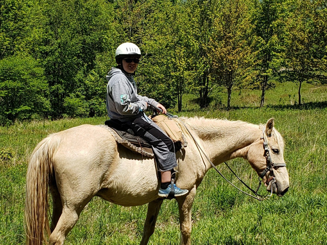 Mountain Trail Rides Horseback Riding & More景点图片
