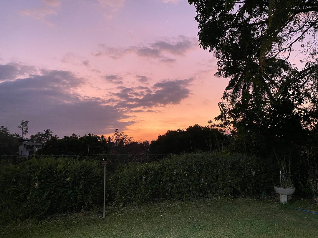 Jeevaka Villa and Ayurveda Retreat - Jeeva Villa主图