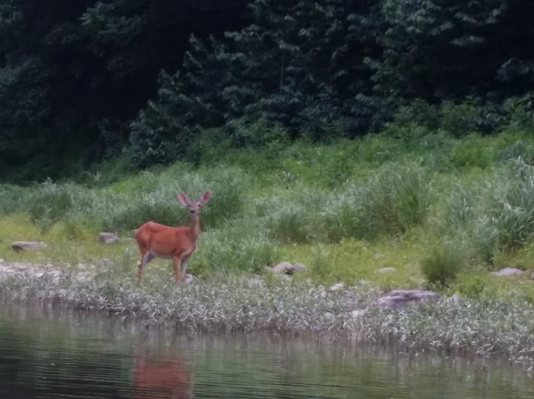 Trough General Store & Canoe Rentals-Romney必去景点