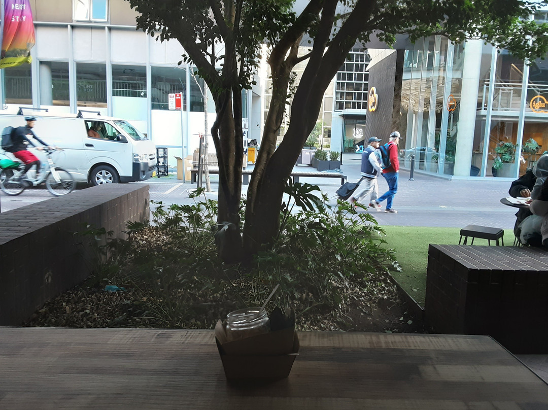 Broadway Sydney-悉尼必去景点