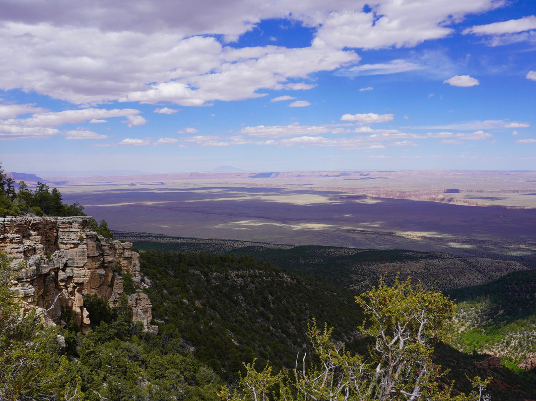 Arizona Backcountry Llamas-Jacob Lake必去景点