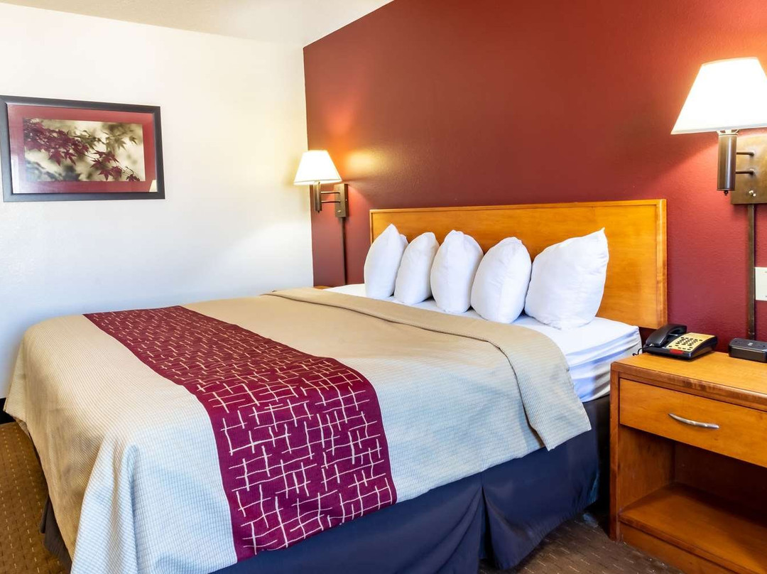 Bearcat Inn & Suites By Greentree主图