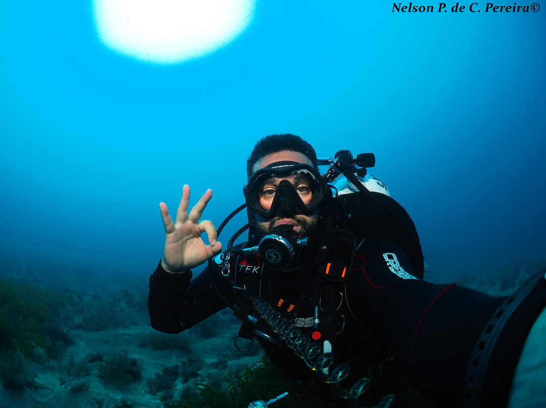 Oceano Dive Center景点图片