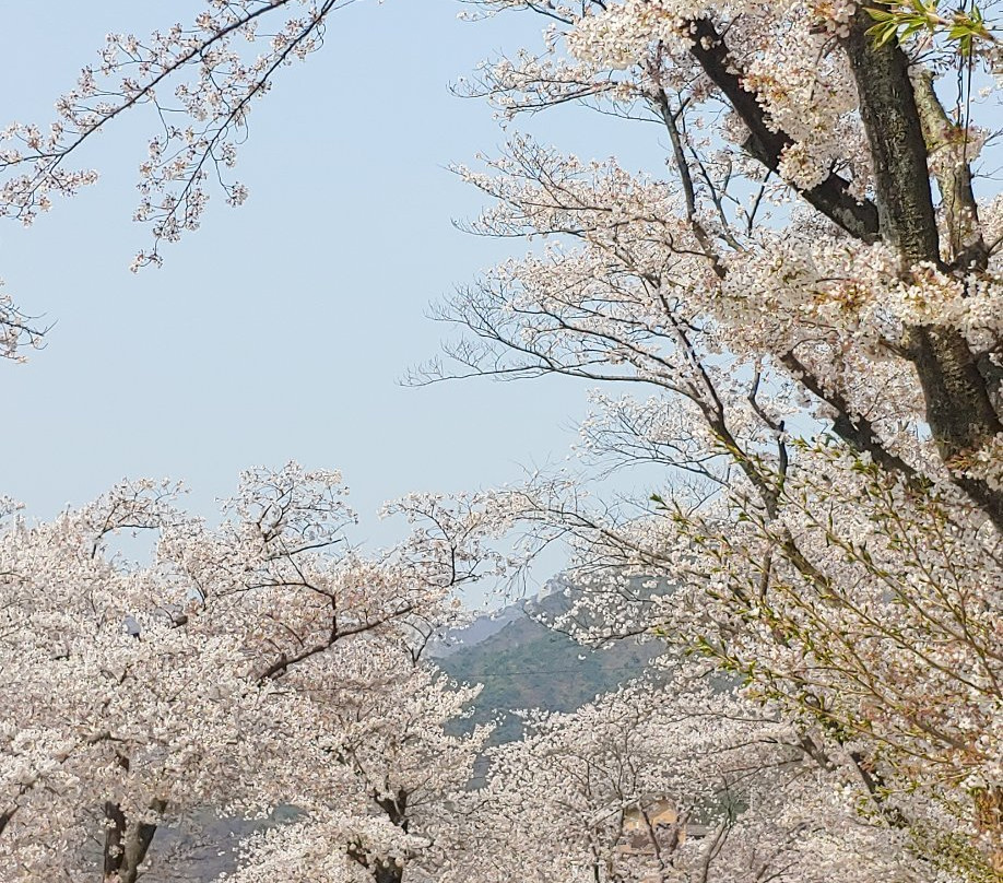 Gyeryongsan National Park-公州市必去景点