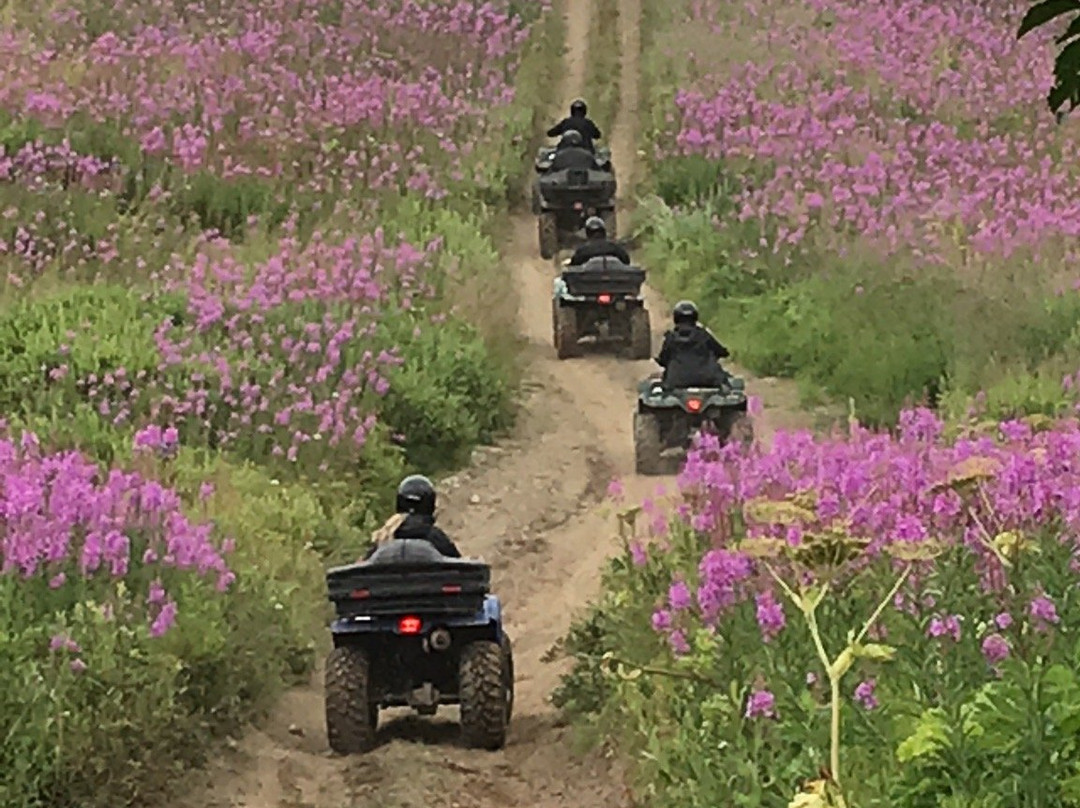 Moose Trail ATV Adventures-索尔多特纳必去景点
