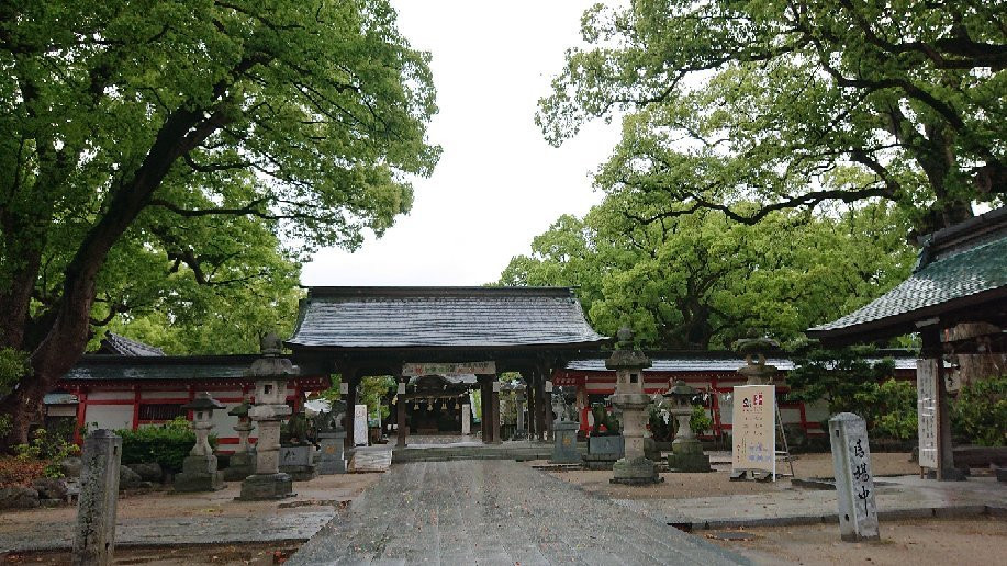 Umi Hachimangu Shrine景点图片
