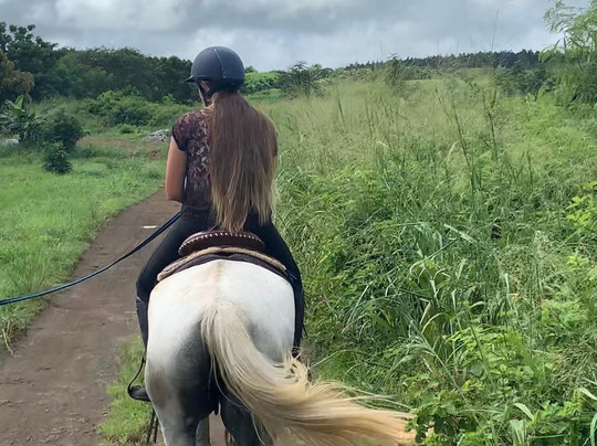Les Calèches du Paradis-大湾必去景点