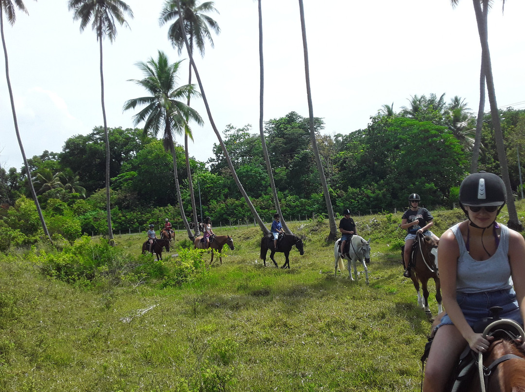 Santo Horse Adventures景点图片