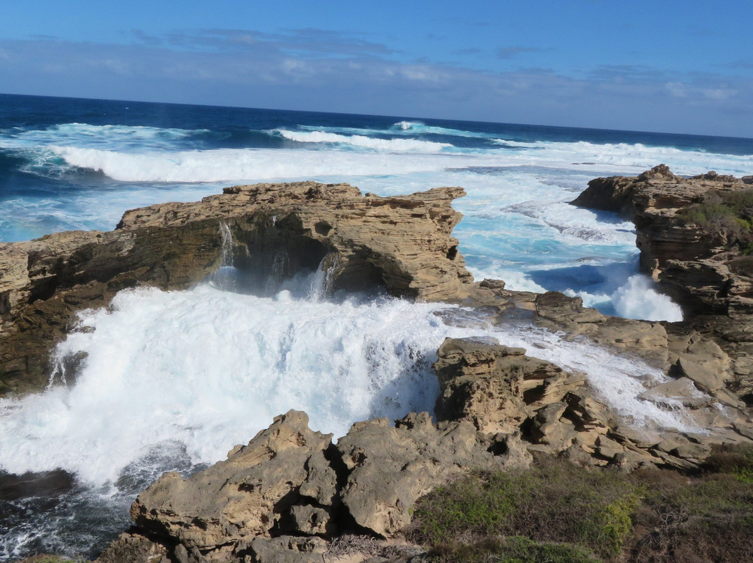 Cape Vlamingh景点图片