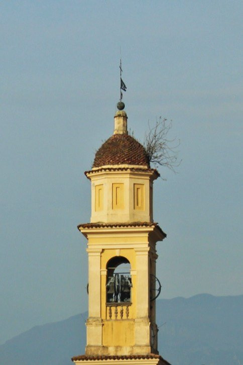 Parrocchiale della Madonna Assunta景点图片