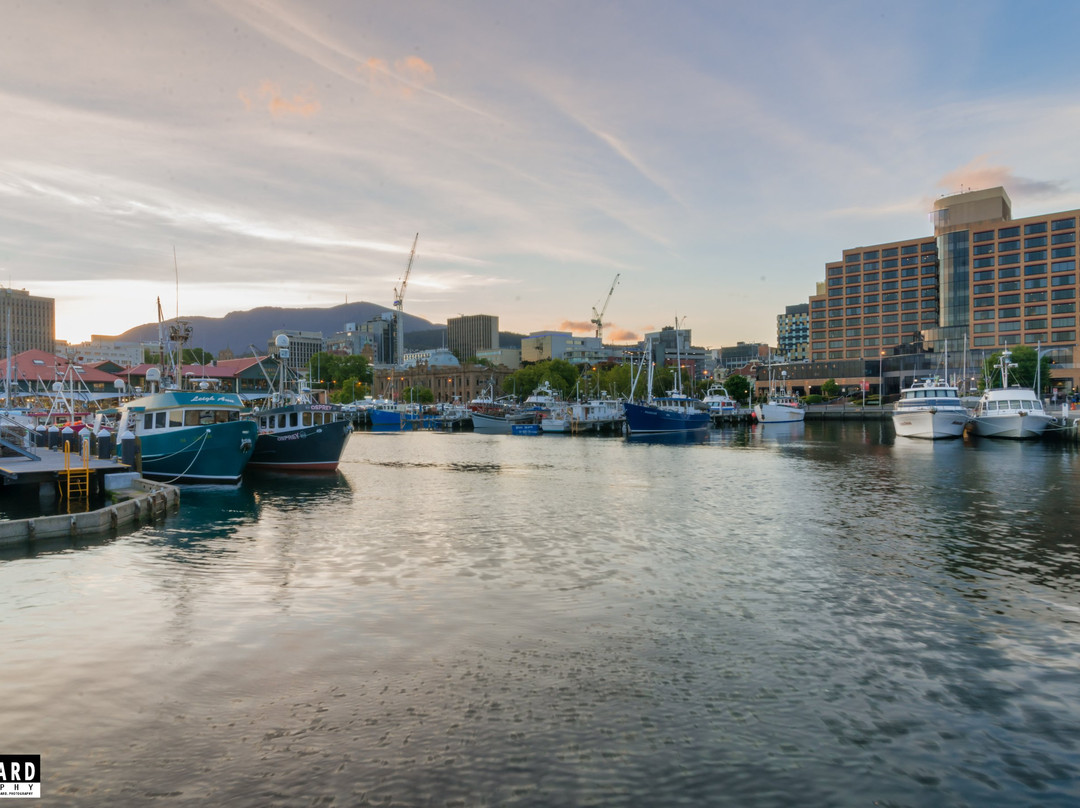 Elizabeth Street Pier-霍巴特必去景点