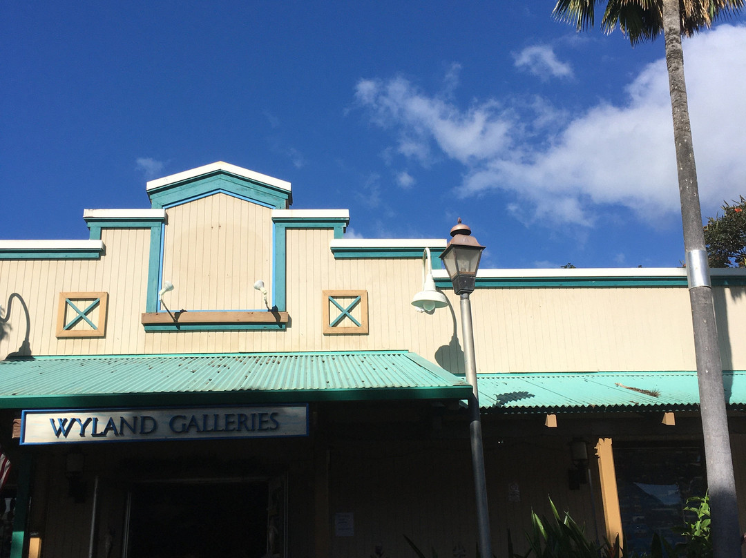 Wyland Galleries-哈雷瓦必去景点