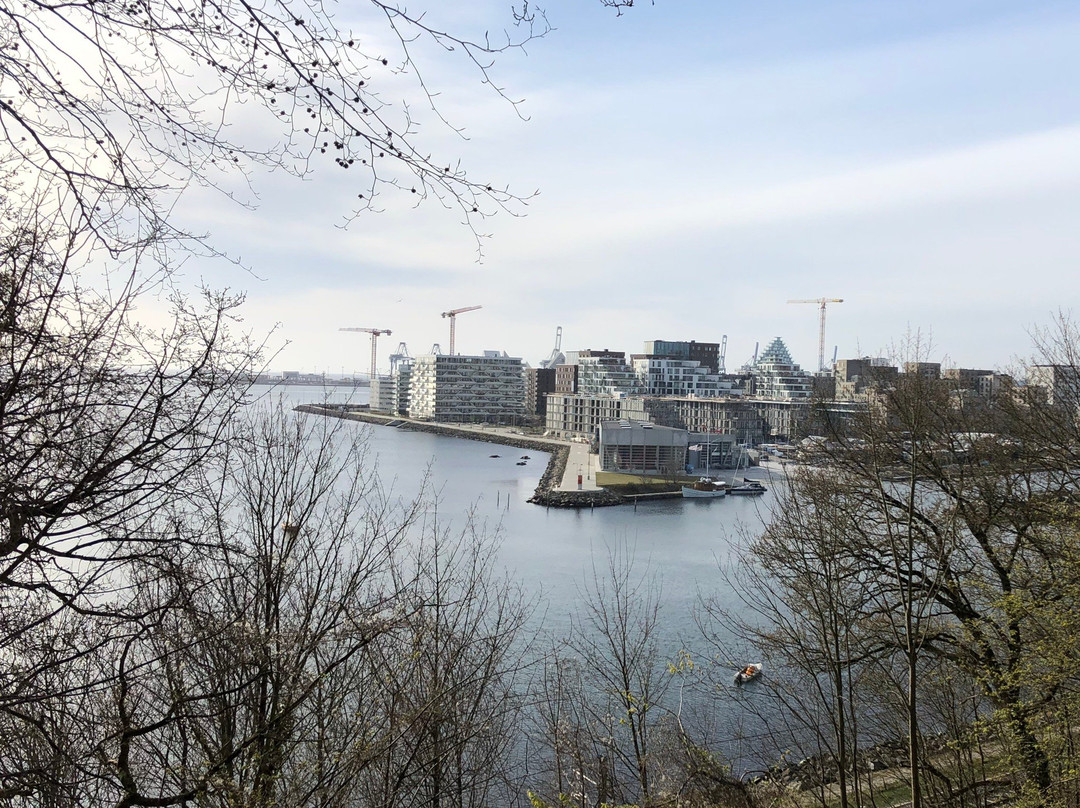 Udsigten i Riis Skov景点图片
