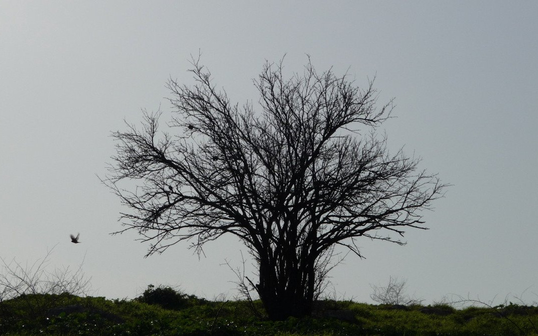 Nahal El Al-Avnei Eitan必去景点