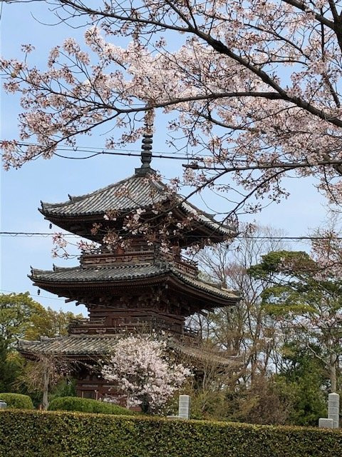 Hoshaku-ji Temple-大山崎町必去景点