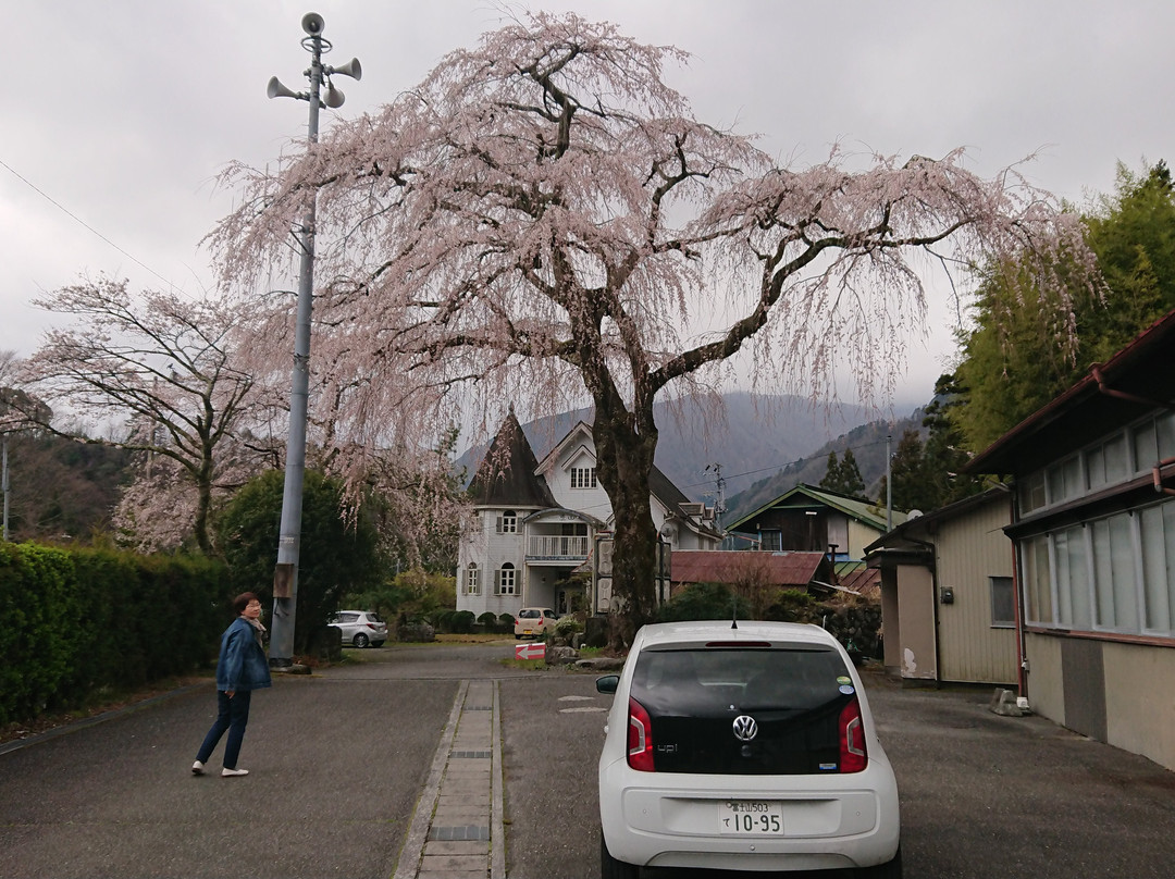 Umegashima Shinden Onsen Koganenoyu-静冈市必去景点