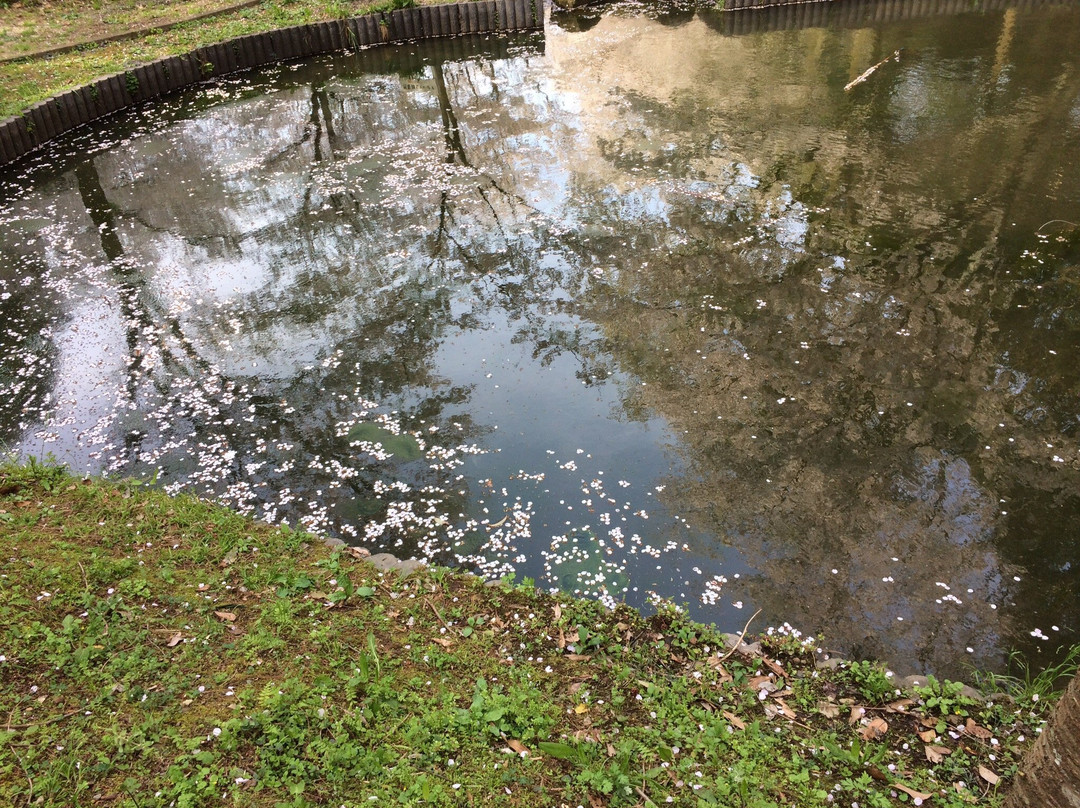 Tachioka Nature Park景点图片