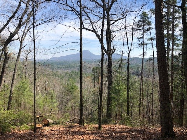 Smithgall Woods Conservation Area-海伦必去景点