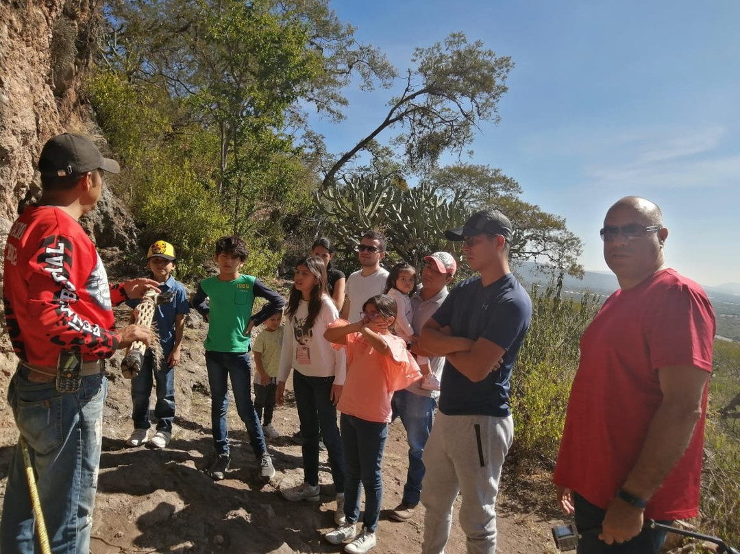 Cadena Enoturistica-克雷塔罗必去景点