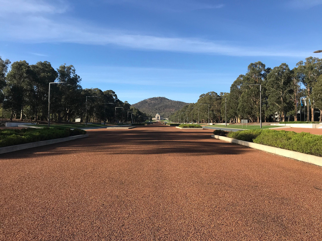 ANZAC Parade Walk景点图片