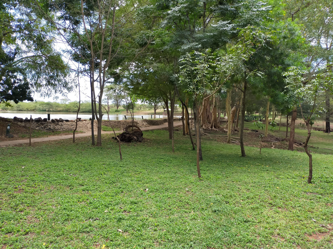 Voyager Ziwani Camp主图