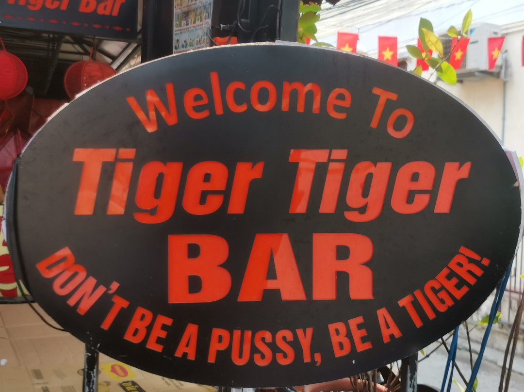 King Tiger Tiger Bar-会安必去景点