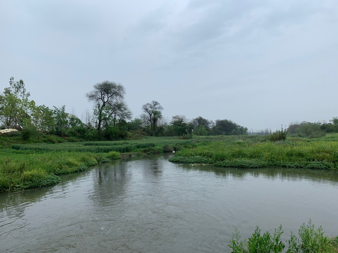 Anand At The Satluj主图