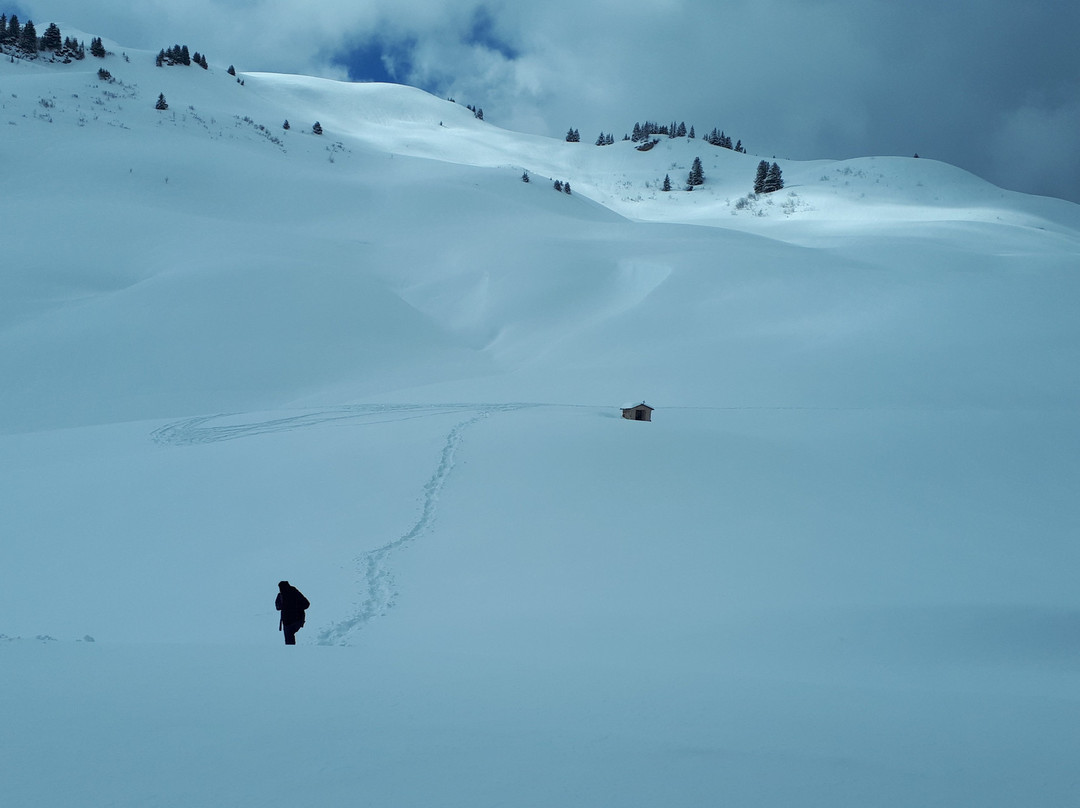 La Grange Aux Loups主图