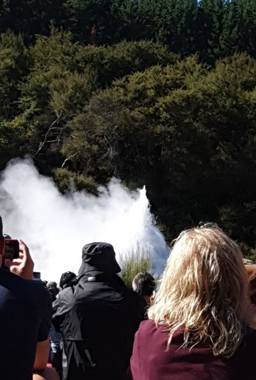 Lady Knox Geyser-罗托鲁瓦必去景点