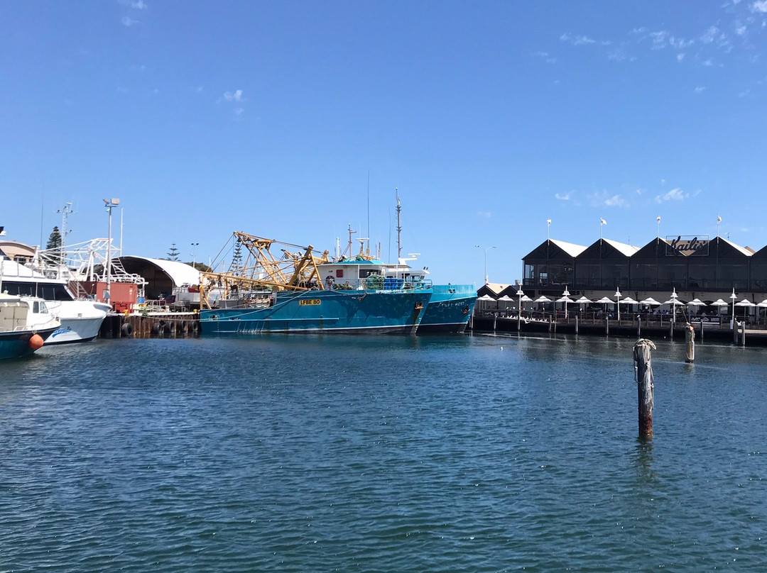 Fremantle Fishing Boat Harbour景点图片