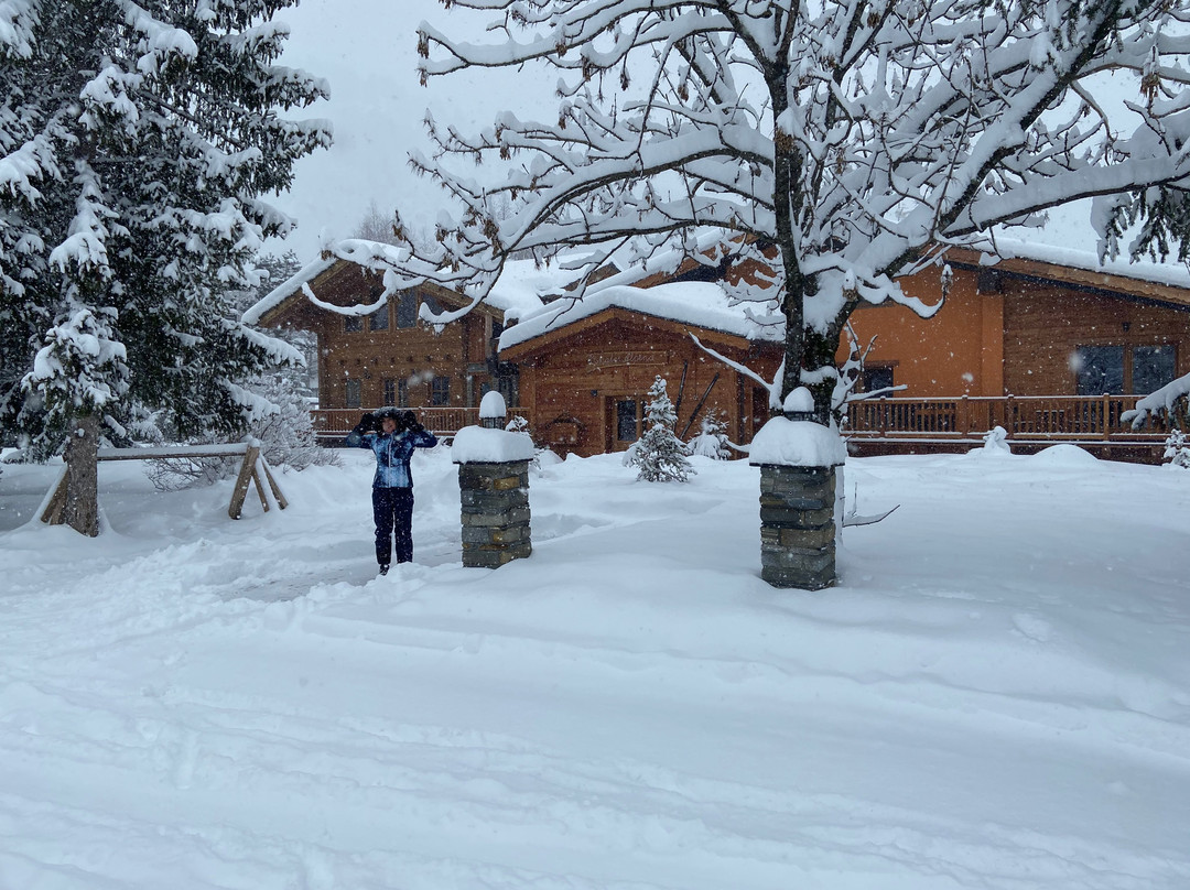 Chalet Alpina Hotel & Apartments主图
