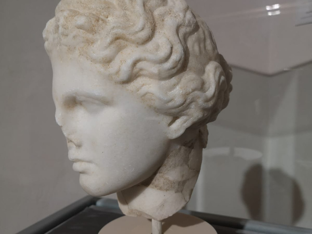 Museo Pinacoteca della Città di Bettona景点图片