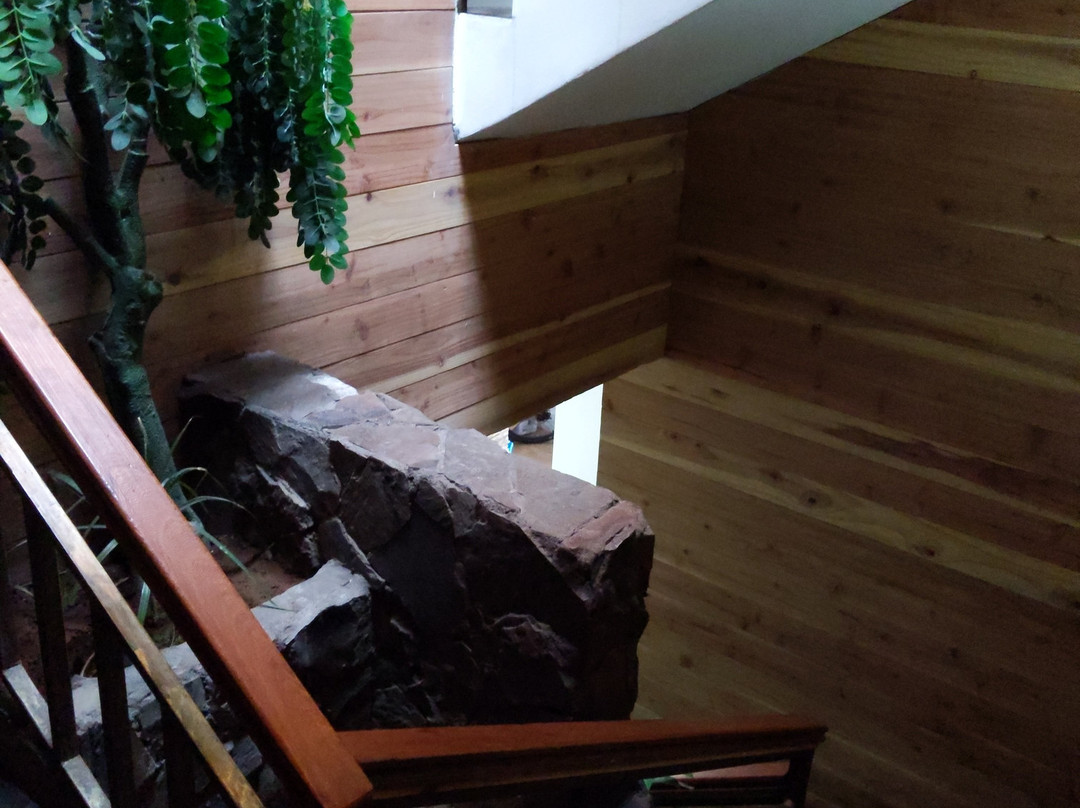 Lican Ray Hotel主图