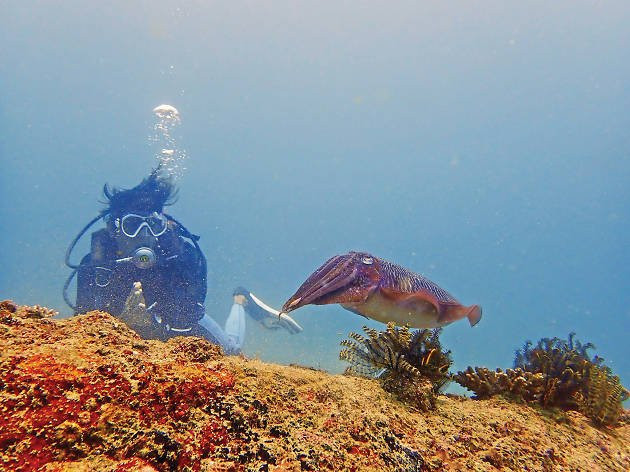 Weligama Bay Dive Center-瓦勒迦玛必去景点