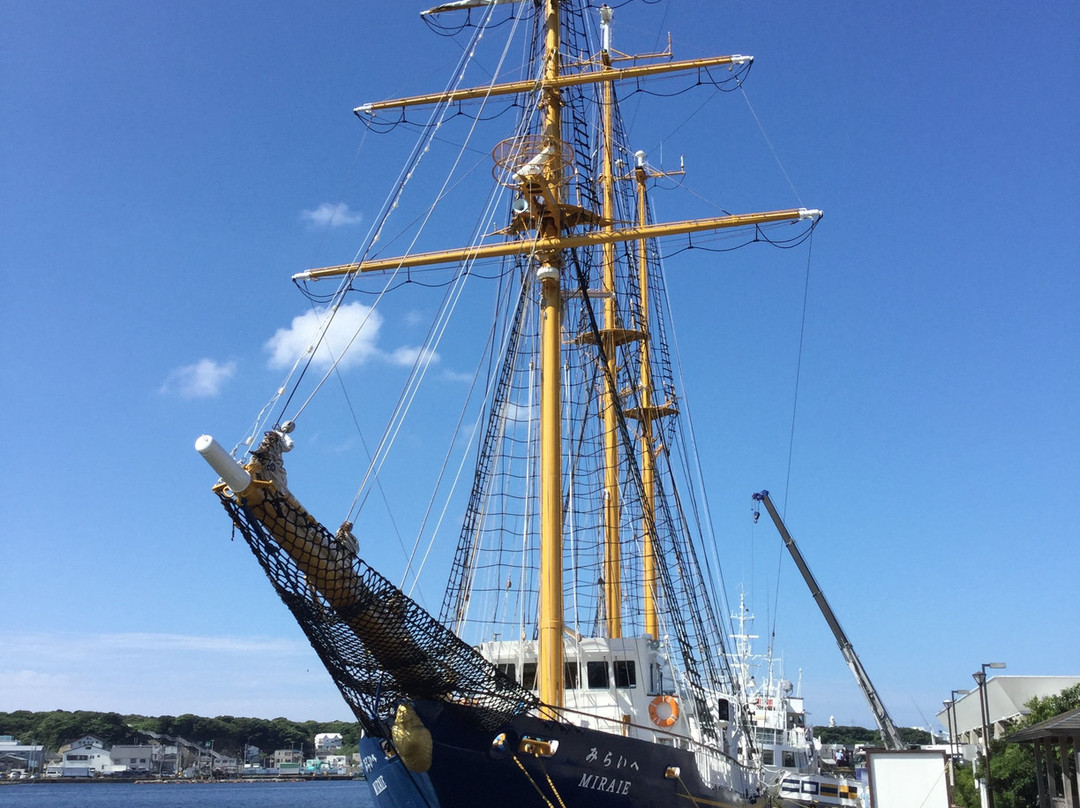 Misaki Port-三浦市必去景点