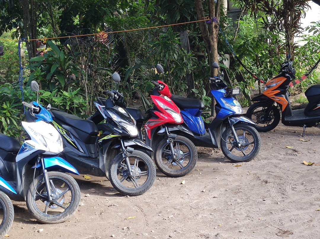 Camiguin Rent a Scooters-曼巴豪必去景点