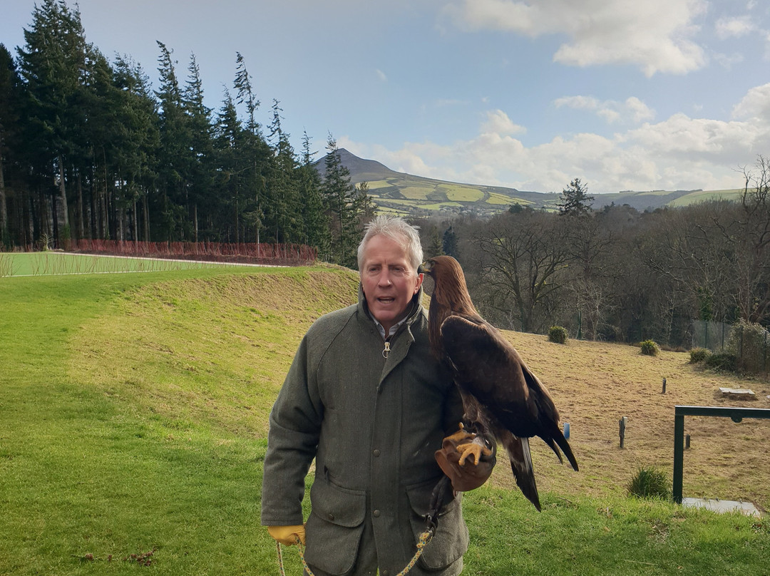 Newgrange Falconry-Julianstown必去景点