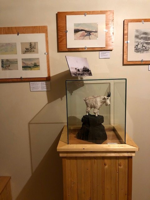 Glacier County Historical Museum景点图片