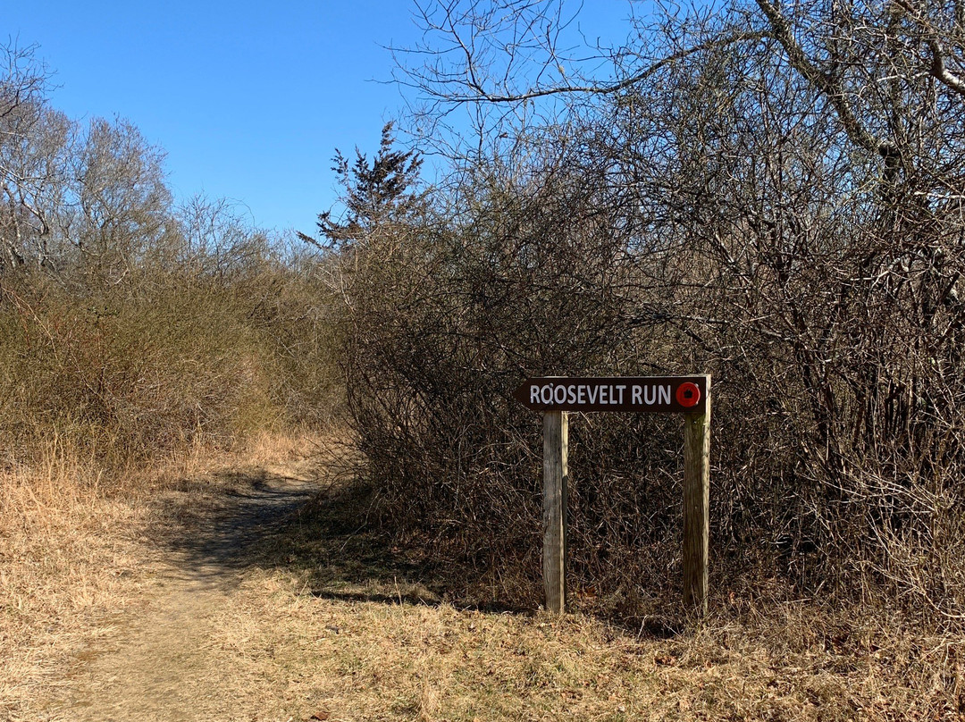 Shadmoor State Park-蒙托克必去景点