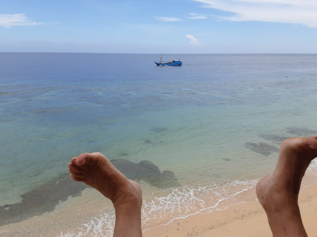 Green Coconut Guest House主图