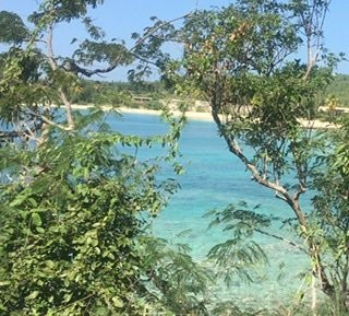 Caneel Bay Resort主图