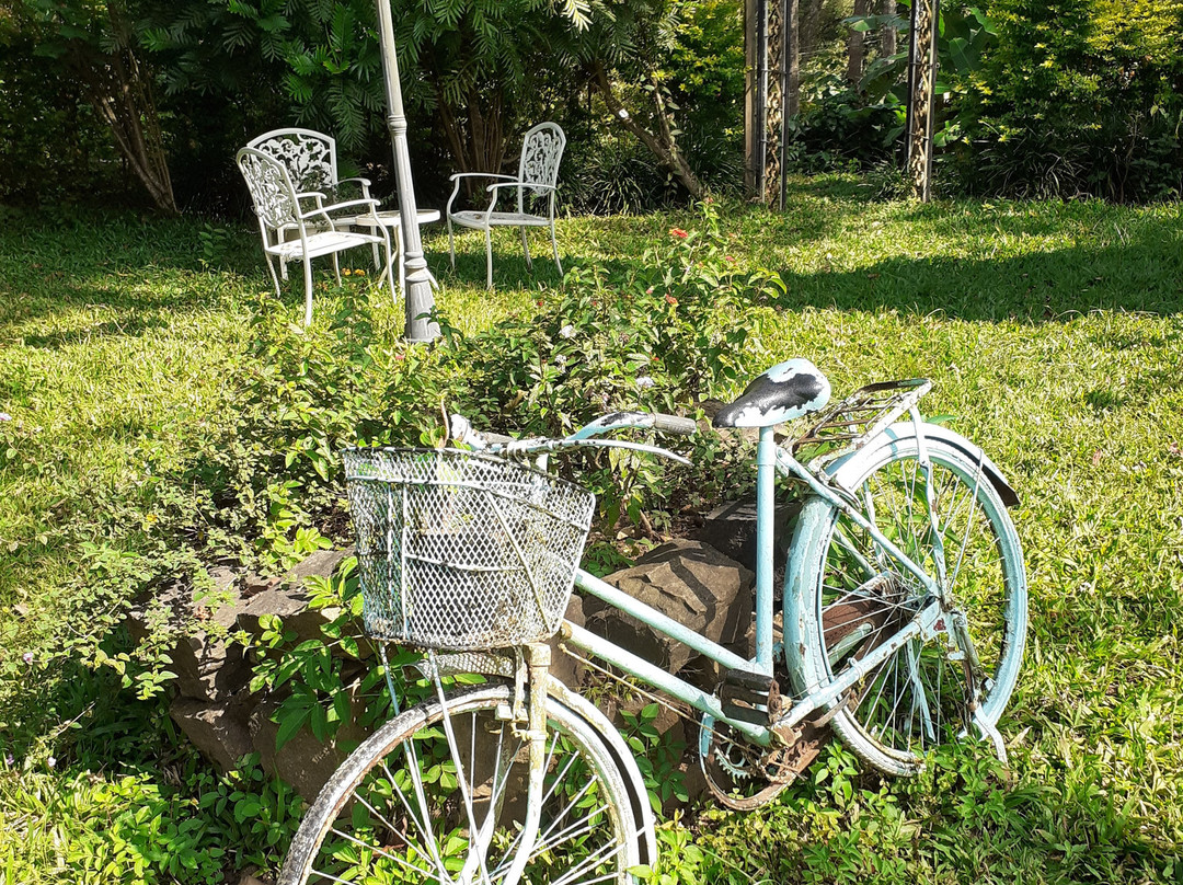 Old Kent Estates, Coorg主图