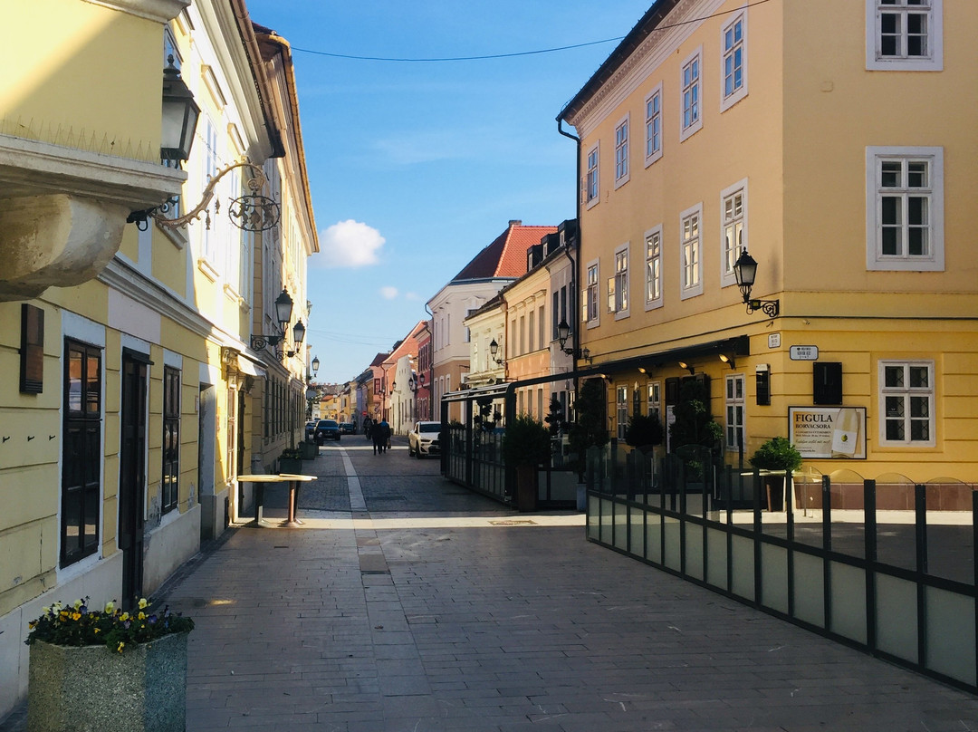 Győr Plaza景点图片