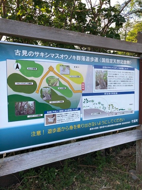 Sakishimasuonoki Gunraku景点图片