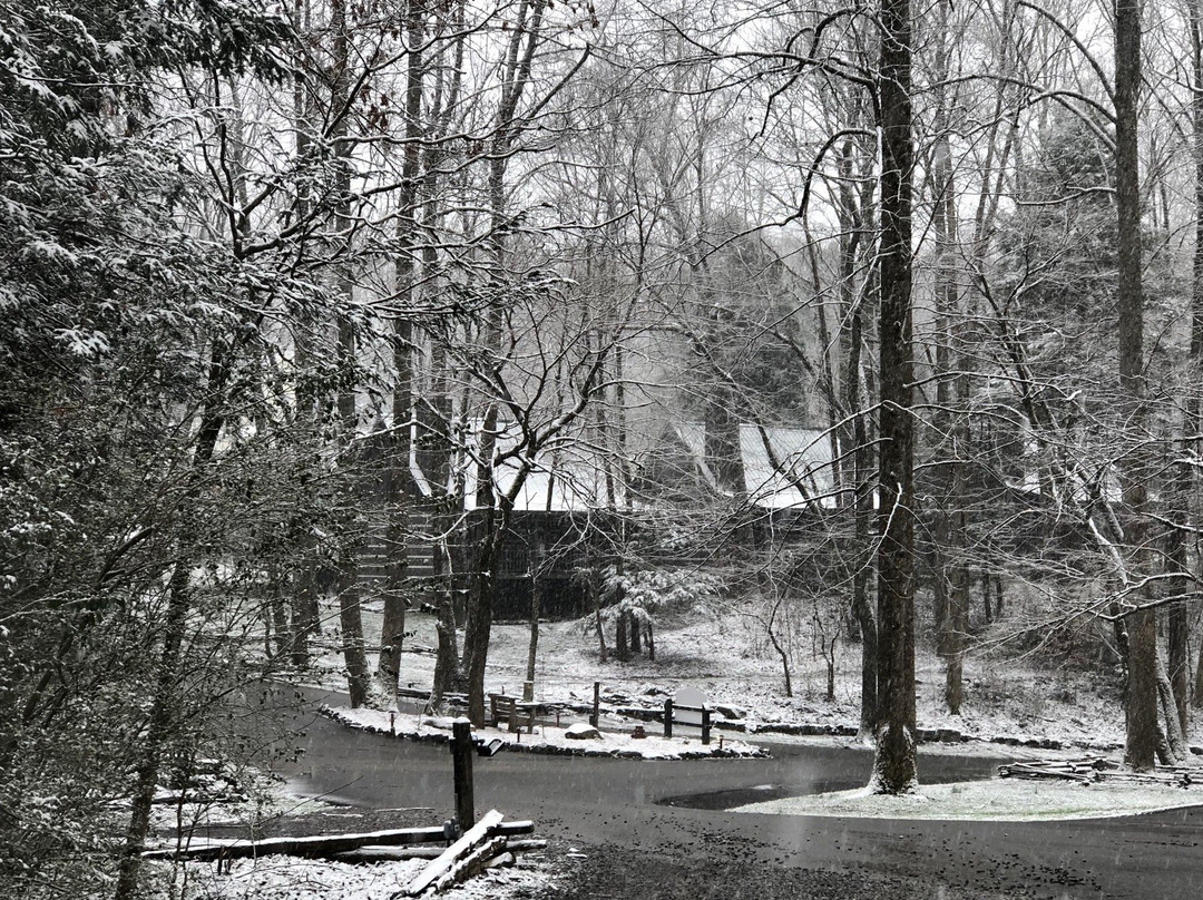 Dancing Bear Lodge主图