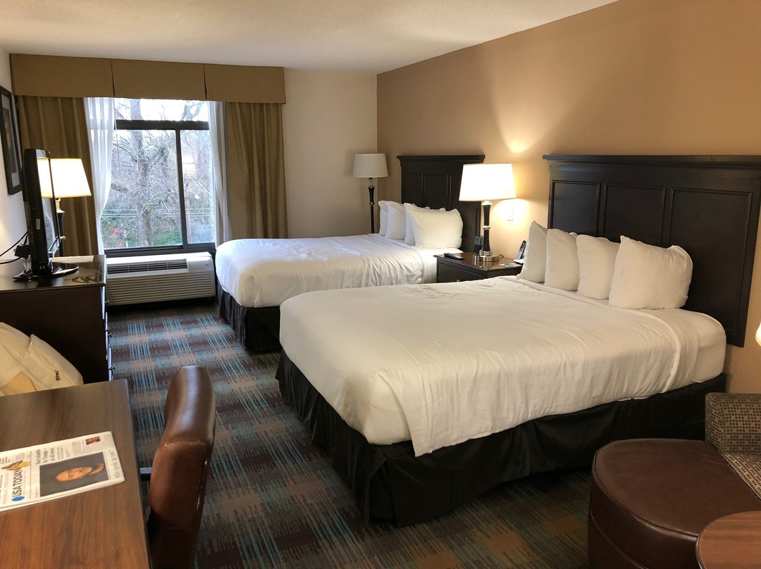 Wingate By Wyndham Charlotte Airport I-85/I-485主图